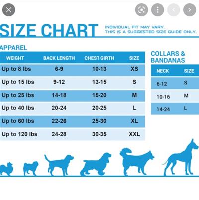 dn-size-chart.jpg