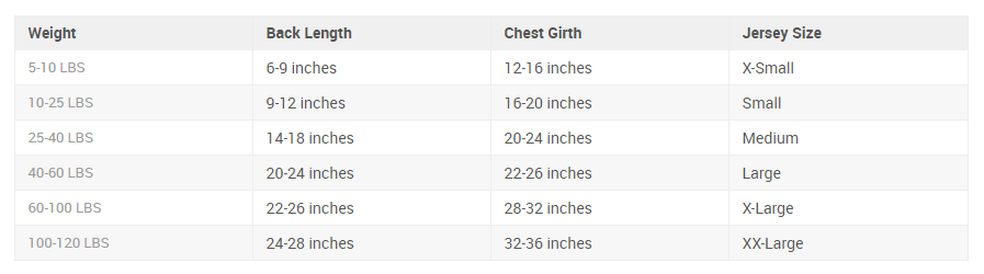 dn-size-chart.png