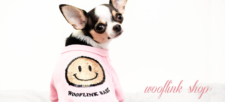 About Us - Online Boutique Dog Clothes Manufacturer, Designer Pet