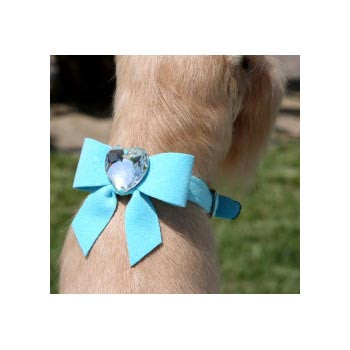 Tiffany Blue Chocolate Dog collar - Genuine Dog Gear