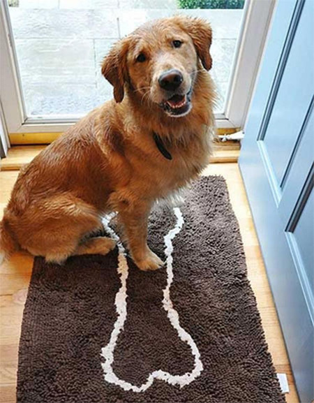 Soggy Doggy Doormat