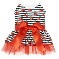 Cherry Stripe Harness Dress with Matching Leash