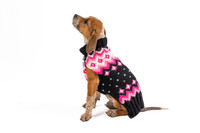 Artic Pink Dog Sweater