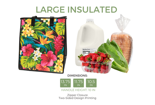 Large Insulated Bag