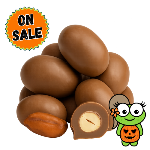 Chocolate Double Dipped Peanuts