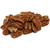 Pecans