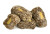 Date Nut Roll