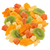 Fruit Salad