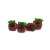 3D Filled Gummi Grapes