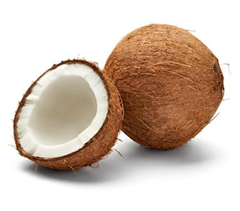 Coconut