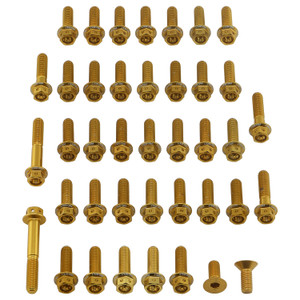 Aluminium Engine Kit Ducati Panigale V4S Race Spec Etched Gold