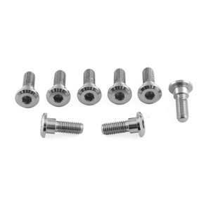 Stainless Steel Disc Bolt To Fit Honda M8x24mm Pack x8