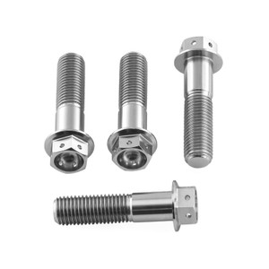 Titanium Front Brake Caliper Mount Bolt Kit | Pro-Bolt