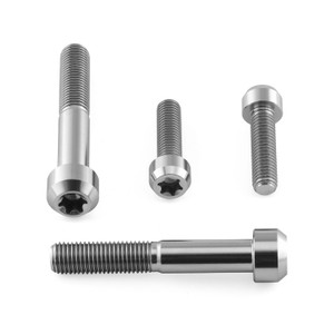 Titanium Clip-On / Handle Bar Mount Bolt Kit Torx Drive