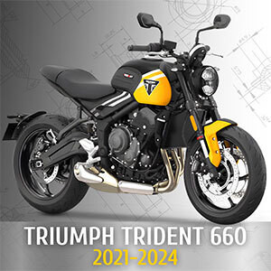 Triumph Trident 660 2021-2024