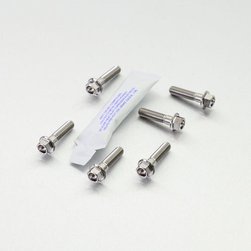 Titanium Disc Bolt M6x25mm Flanged Hex Pack x6 Front