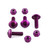 Aluminium Screen Kit 4 Bolt with Nylock Nuts Purple