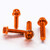 Aluminium Brake & Clutch Lever Perch Pinch Bolt Kit Race Spec Etched Orange