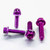 Aluminium Brake & Clutch Lever Perch Pinch Bolt Kit Race Spec Etched Purple