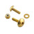 Aluminium Reservoir Mount Bolt Kit Front & Rear Brake Gold