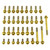 Titanium Engine Kit Husqvarna FE 450 Enduro Flanged Hex Head Bolt Gold