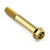 Stainless Steel Flanged Hex Head Bolt M10x(1.25mm)x70mm Gold