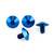 Titanium Mudguard & Hugger Bolt Kit Blue