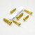 Stainless Steel Clip-On / Handle Bar Mount Bolts Gold