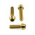 Stainless Steel Front Brake Caliper Pinch Bolt Kit Gold