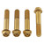 Stainless Steel Front Brake Mounting Bolt Kit Gold