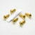 Stainless Steel Pillion Footrest Hanger Bolt Kit Gold