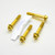 Stainless Steel Pillion Footrest Hanger Bolt Kit Gold