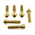 Stainless Steel Pillion Footrest Hanger Bolt Kit Gold