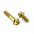 Stainless Steel Rear Brake Mounting Bolt Kit Gold