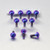 Titanium Disc Bolt To Fit Honda M6x17mm Pack x10 Purple Haze