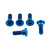 Titanium Disc Bolt To Fit Honda M8x24mm Pack x5 Blue