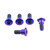 Titanium Disc Bolt To Fit Suzuki M8x22mm Pack x5 Purple Haze