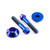 Titanium Exhaust Mount Bolt Kit Purple Haze