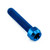 Titanium Front Axle Pinch Bolt Kit Torx Drive Blue