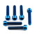 Titanium Front Caliper Pinch Bolt Kit Torx Drive Blue