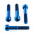 Titanium Front Brake Radial Caliper Mount Bolt Kit M10x(1.25mm)x55mm Torx Drive Blue
