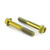 Titanium Grab Rail Mount Bolts Gold