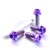 Titanium Pillion Footrest Hanger Bolt Kit DualDrive Purple Haze