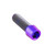 Titanium Socket Cap M5x(0.80mm)x16mm (7mm Head O/D) Purple Haze
