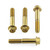 Stainless Steel Rider Footrest Hanger Bolt Kit Gold