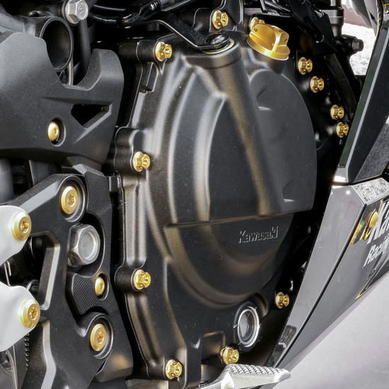 Aluminium Engine Kit Kawasaki Ninja 400 Race Spec Etched Gold - Fitted