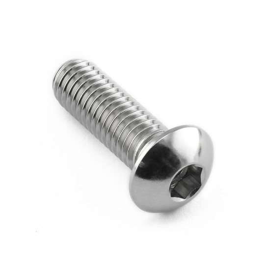 Stainless Steel Disc Bolt To Fit BMW M8x25mm
