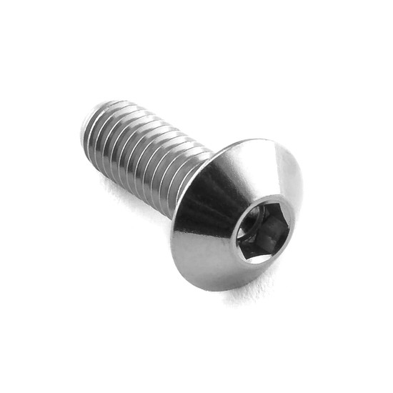Stainless Steel Dome Head Bolt M6x(1.00mm)x16mm (12mm O/D)