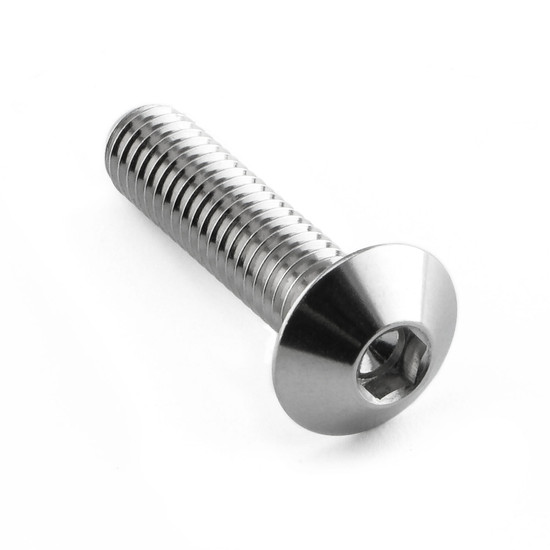 Stainless Steel Dome Head Bolt M6x(1.00mm)x25mm (12mm O/D)