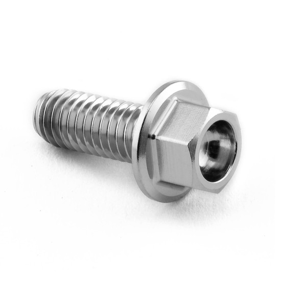 Stainless Steel Flanged Hex Head Bolt M6x(1.00mm)x15mm